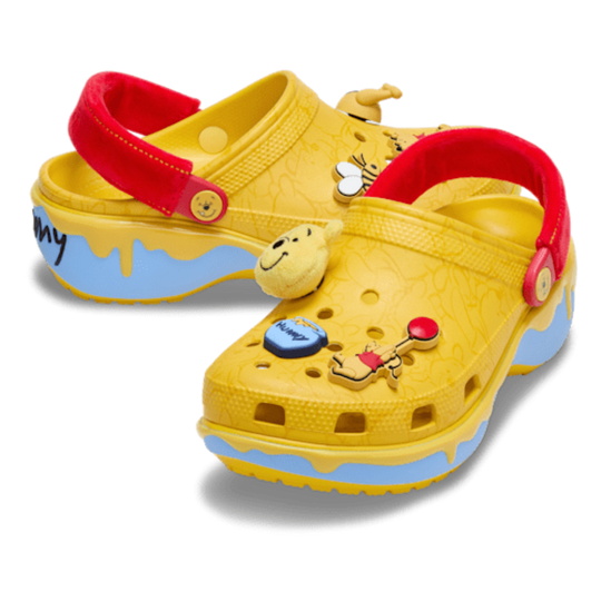 Winnie the Pooh Slipper
