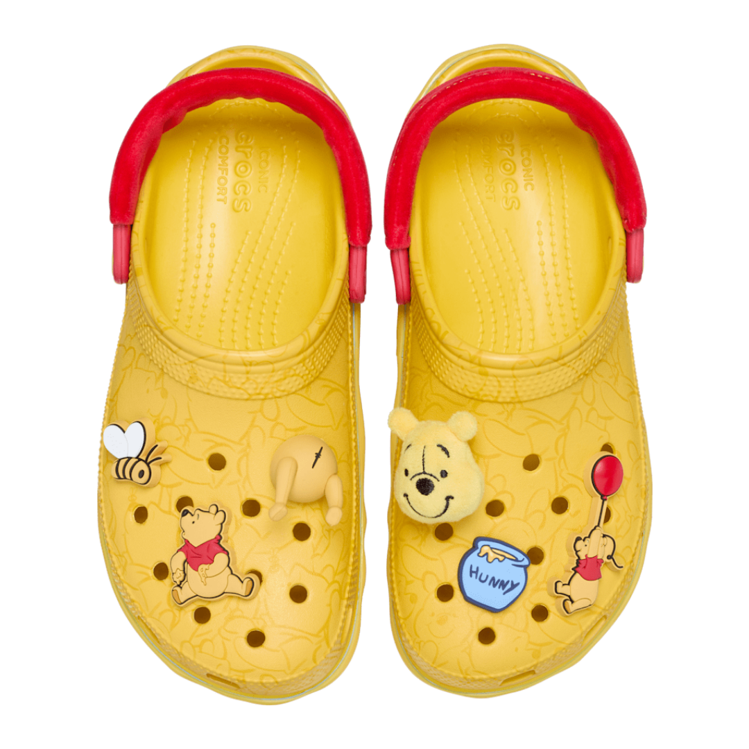 Winnie the Pooh Slipper