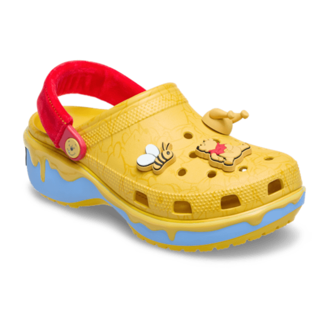 Winnie the Pooh Slipper